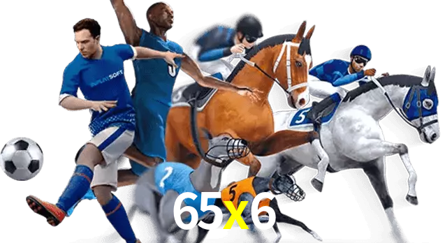 65x6